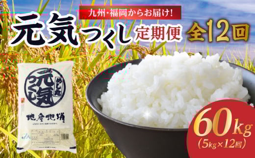 九州・福岡からお届け！ブランド米「元気つくし」定期便【全12回】 お米 米 コメ 白米 特A 直送 お弁当 おにぎり 炊きたて ツヤ 粘り もちもち 弾力 卵かけご飯 福岡県 八女市