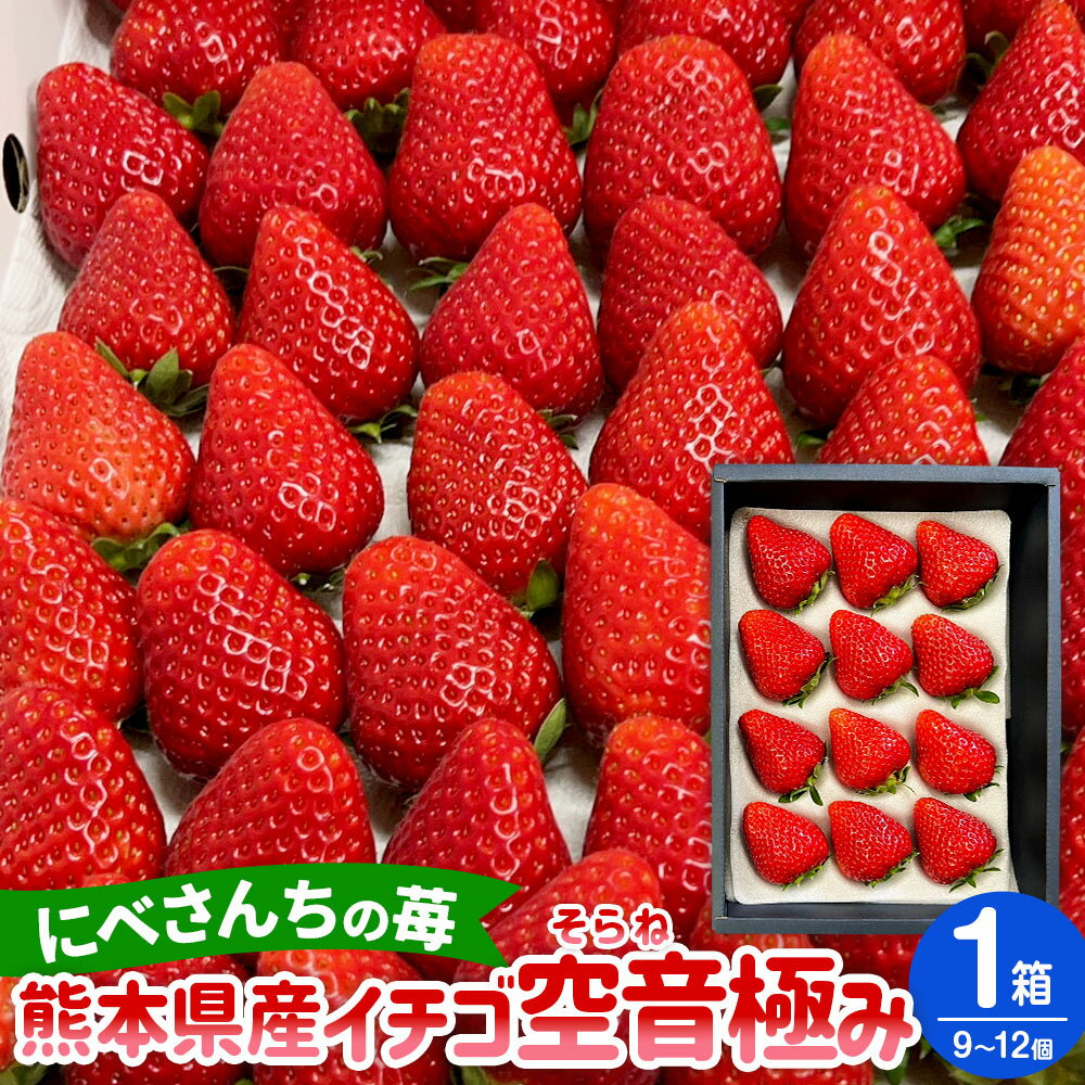 【ふるさと納税】にべさんちの苺 熊本県産 イチゴ 空音(そらね) 極み 1箱 9～12個 いちご 苺 フルーツ 果物 果実 くだもの 冷蔵 九州 熊本県 送料無料 【2026年1月下旬発送開始】