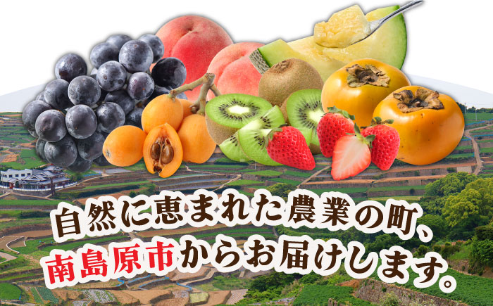 【4回定期便】旬のフルーツ定期便 春夏秋冬コース （2〜3品目×4回）季節の果物 詰め合わせ 果物 フルーツセット / 南島原市 / 吉岡青果 [SCZ020]