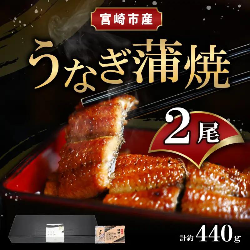 うなぎ 蒲焼 うなぎ[国産 2尾 440g]