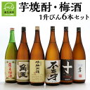 【ふるさと納税】佐多宗二商店 芋焼酎 1.8L × 5本 梅酒 1.8L×1本 まるごと 1升びん 6本 セット 角玉 晴耕雨讀 不二才 十字紋 XXIV不二才 豪華 お酒 焼酎 アルコール さつまいも 米こうじ 国産 鹿児島県産 南九州市 送料無料