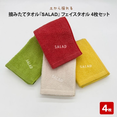 土から採れる　摘みたてタオル 『SALAD』 フェイスタオル 4枚セット【2_7-006】