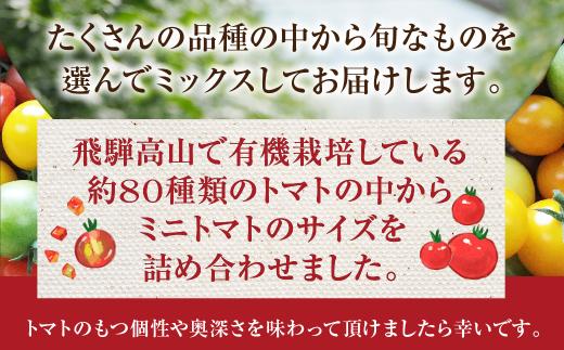 【2024年夏 先行予約】（6月中旬から順次発送予定）飛騨高山産 有機栽培トマト「彩りトマト」 1kg  ミディトマト ミニトマト 詰合せ ミックス 樹熟 5種類以上 食べ比べ 野菜 山藏農園 飛騨高