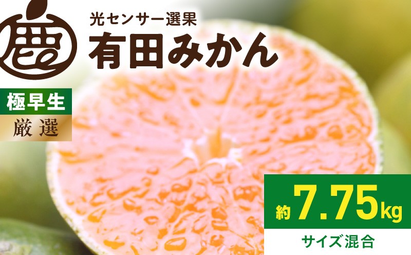 
                  厳選 極早生有田みかん 約7.5kg+250g（傷み補償分）ゆら早生みかん【YN26・ゆら早生】【光センサー選果】_ZH6329n
                
