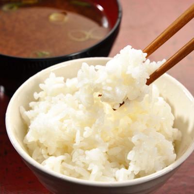 ふるさと納税 城里町 【令和6年産】城里町内・桂農産の【那珂川の清流ホタル米】　5kg |  | 01