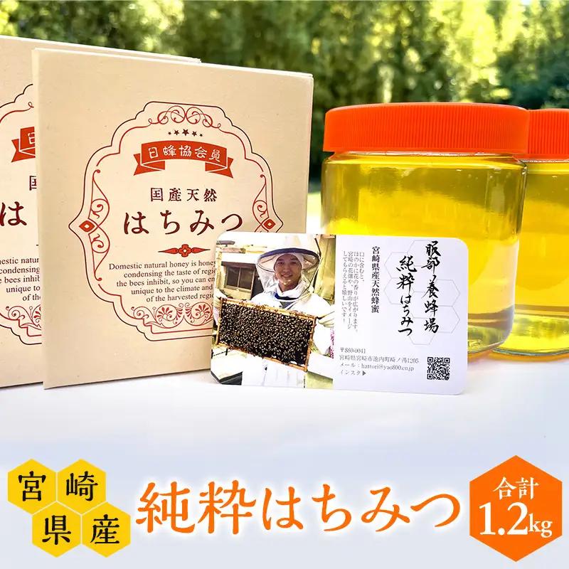 【数量限定】宮崎県産純粋はちみつ(600g×2本) 国産 蜂蜜 ハチミツ はちみつ 600g 2本 天然 純粋 純粋蜂蜜 純粋はちみつ 天然蜂蜜 ミツバチ 蜜蜂 パン ヨーグルト 紅茶 グルメ お取り寄せ ギフト