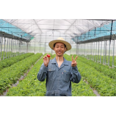 福岡ブランドあまおう【訳あり】冷凍いちご1600g(岡垣町)【配送不可地域：離島】