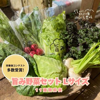 ふるさと納税 佐久穂町 【単発】信州北八ヶ岳からお届け〜のらくら農場の旨み野菜セット〜11種類前後(Lサイズ3〜4人分)