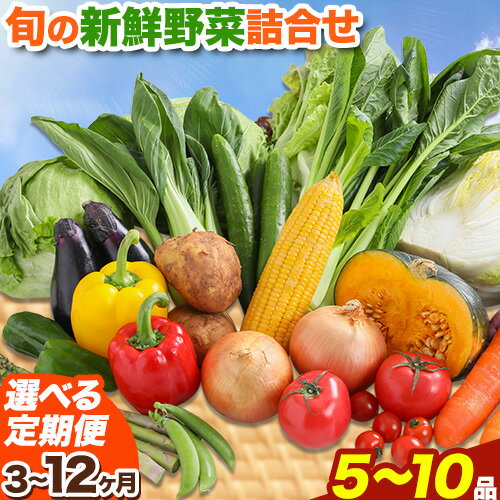 【ふるさと納税】【選べる定期便】旬の新鮮野菜詰め合わせセット 野菜5〜10品目入 3ヶ月 or 6ヶ月 or 12ヶ月 定期便 青空市きらり《お申込み月の翌月から出荷開始》岡山県 矢掛町 野菜 野菜詰め合わせ トマト きゅうり アスパラガス 玉ねぎ リーキ 送料無料