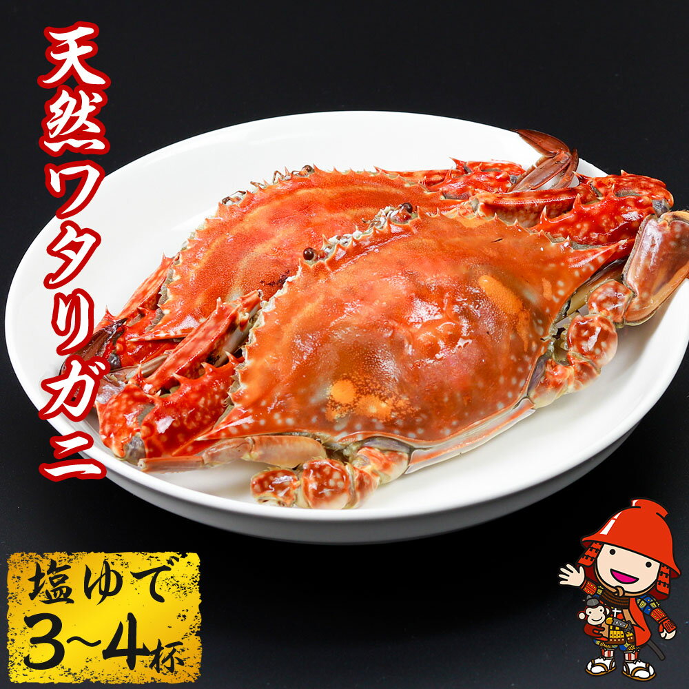 【ふるさと納税】大分県中津産 天然ワタリガニ 塩ゆで 3〜4杯 ( 800g 〜 900g ) | 海産物 海鮮 蟹 カニ 大分県産 九州産 中津市 国産 送料無料【発送は2025年10月中旬～2026年3月31日頃まで】