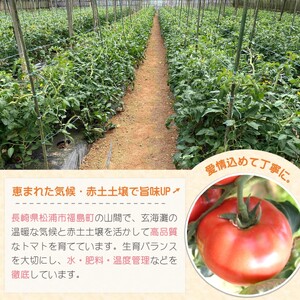 訳あり！ご家庭用に大活躍 夢追うトマト5kg～6kg【B0-244】
