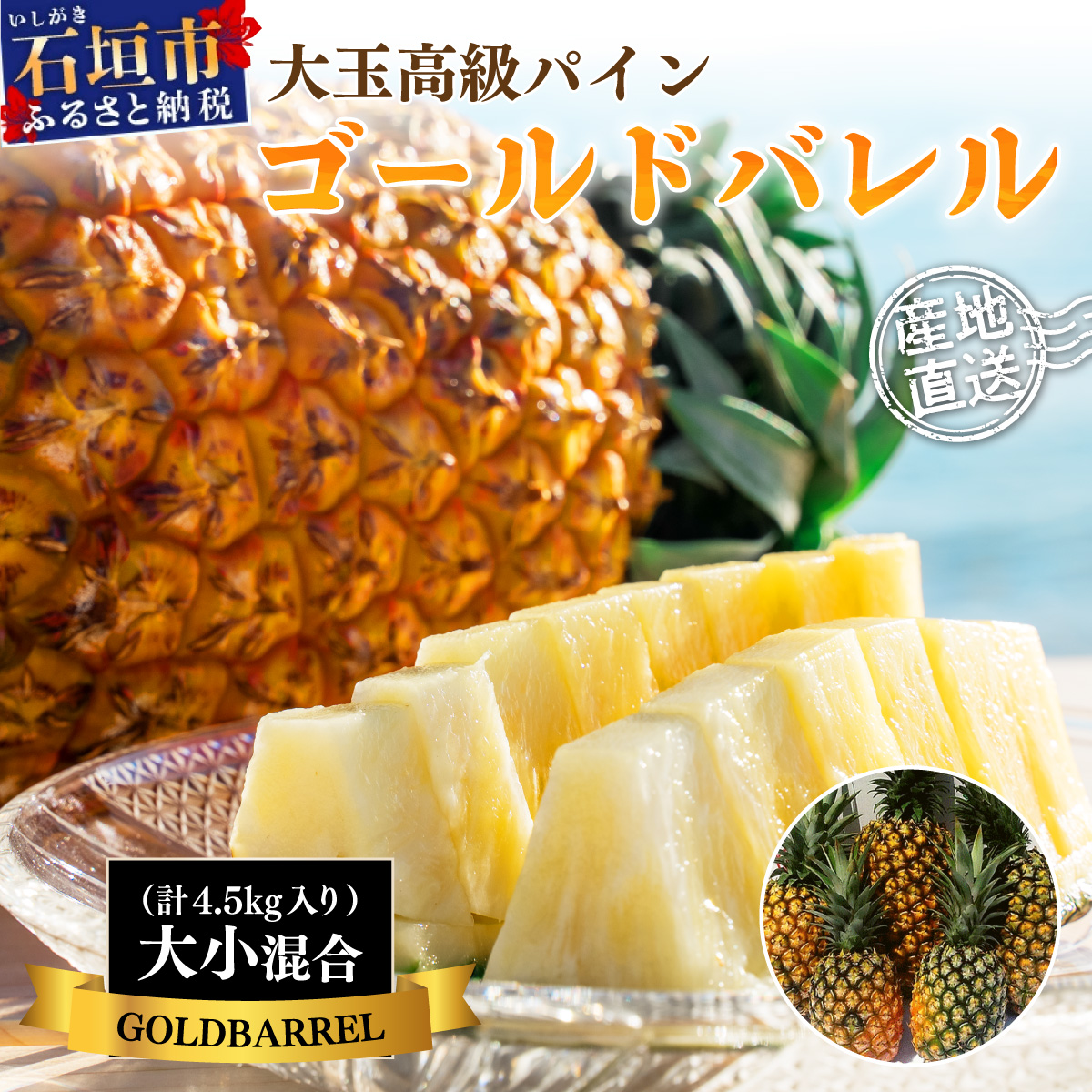 ＜先行予約＞【訳あり】石垣島産 ゴールドバレルパイン 大小混合セット 約4.5kg ＜2026年7月以降発送＞ SI-007