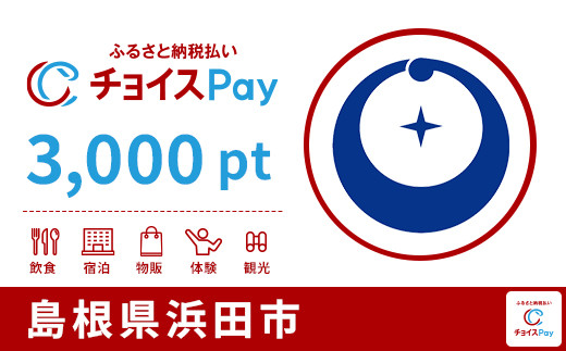 
            浜田市チョイスPay 3,000pt【会員限定のお礼の品】
          