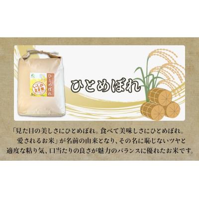 ふるさと納税 石巻市 米 定期便 【定期便4回・毎月発送】宮城県いしのまき産米「ひとめぼれ」5kg×4回(精米) お米 米 |  | 01