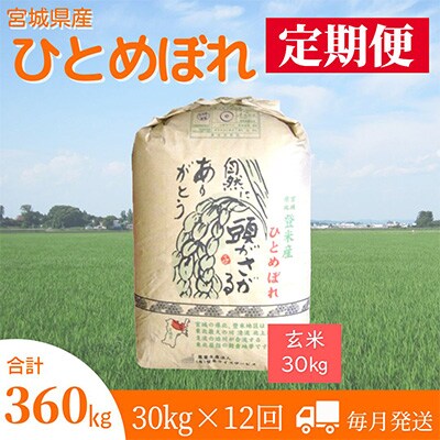 2023年12月発送開始『定期便』宮城県登米市産ひとめぼれ(玄米)30kg全12回【5146693】
