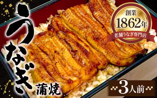 No.413 うなぎ蒲焼（真空パック）3人前 ／ 鰻 ニホンウナギ 厳選 埼玉県