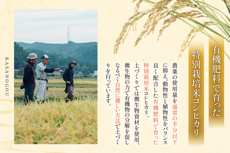 米 令和7年産 石川県産 コシヒカリ 10kg x 1袋 [農事組合法人かさの郷 石川県 津幡町 tb17bgj610004] 