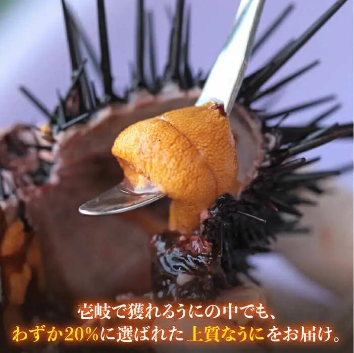 全12回定期便 うに 60g×2 [JAO020] 定期便 うに