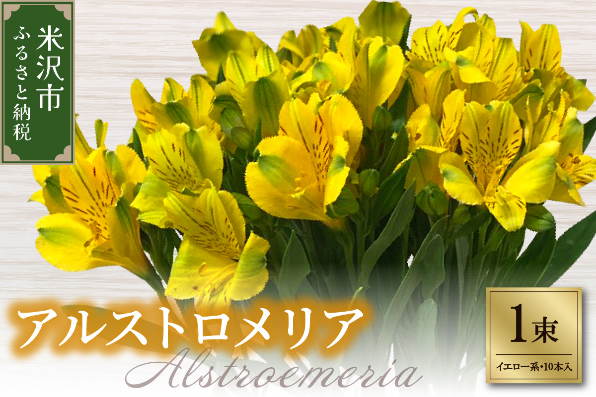 アルストロメリア イエロー系 1束 10本入り 花 生花 切花 2026年4月～7月上旬頃 お届け予定 山形県 米沢市