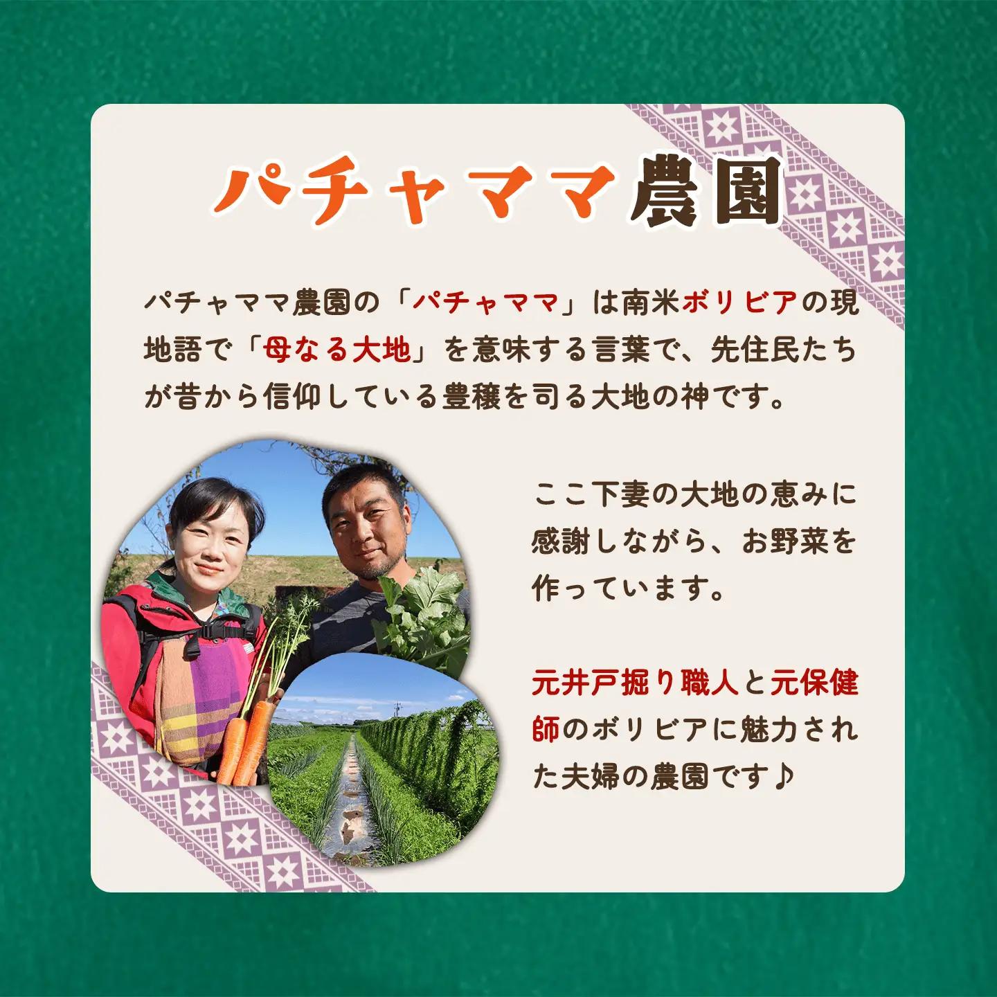 農業体験 チケット 2名 農業体験