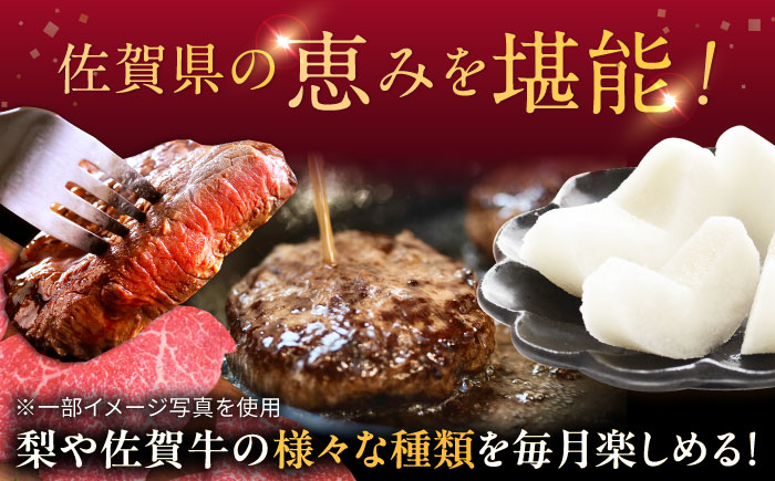 【2027年発送分 先行予約】【全3回定期便】梨（幸水）と佐賀牛定期便 / ステーキ ハンバーグ 事業者横断 / 佐賀県ふるさと納税 [41AAZZ024]
