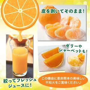 益城町産 不知火 約3kg(益城町)【1663053】