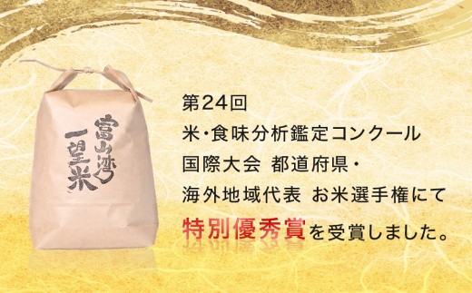 【6回定期便】富山湾一望米　コシヒカリ 精米 【容量5kg】農家直送 米 定期便
