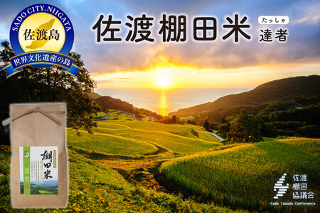佐渡島産コシヒカリ お達者棚田米 白米4Kg（2Kg×2袋）【令和7年産】