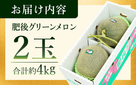 【先行予約】【数量限定】肥後グリーンメロン　約4kg(2玉入)【日本フルーツ株式会社】[ZFJ004]