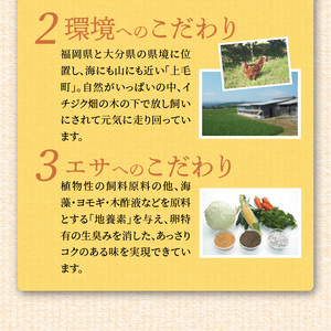 【定期便】上毛町産の「たまごかけご飯セット」（卵20個・米2kg）（専用醤油なし版）6回（毎月）コース _07T-001