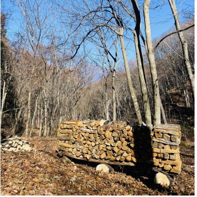 ふるさと納税 御代田町 林業芸術社　2年乾燥薪(広葉樹約45cm /約5kg分/中割り〜)御代田町面替 |  | 01