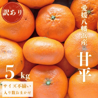 【愛媛が誇る 高級みかん 希少品種】訳あり 甘平 (かんぺい) 5kg【F20−59】【1620338】