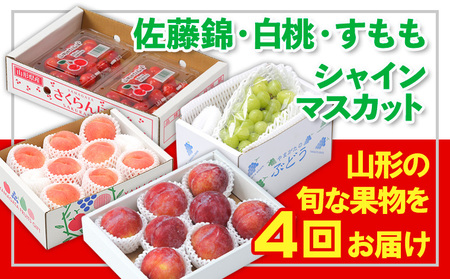 【定期便4回】☆フルーツ王国山形☆『佐藤錦、白桃、すもも、シャインマスカット』 FY25-311