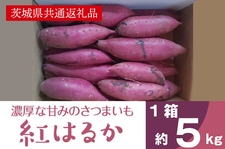 
                  2025年度産 濃厚な甘みさつまいも 紅はるか5kg【茨城県共通返礼品/行方市】【さつまいも サツマイモ 芋 お芋 甘い ねっとり 美味しい 大量 茨城県 北茨城市 】(AK201)
                