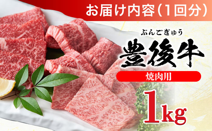 【全12回定期便】おおいた豊後牛 焼肉用 1kg(500g×2P) 日田市 / 株式会社MEAT PLUS　牛 うし 黒毛和牛 和牛 豊後牛 [AREI103]