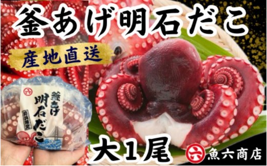 ほんまにうまい 釜あげ明石だこ 大 1尾 たこ 海鮮