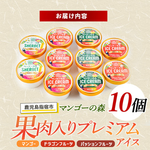 ゴロゴロ果肉入りプレミアムアイス10個セット マンゴーの森 IB040-008 アイス アイス