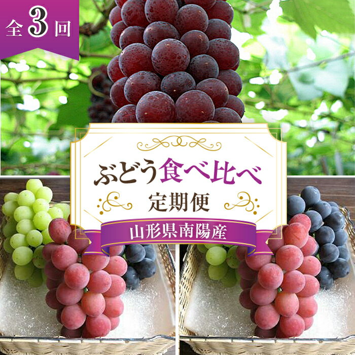 【ふるさと納税】 【令和9年産先行予約】 《定期便3回》 ぶどう食べ比べ 定期便 《令和9年7月～発送》 『漆山果樹園』 葡萄 ぶどう ブドウ 果物 フルーツ デザート 山形県 南陽市 [1179-R9]