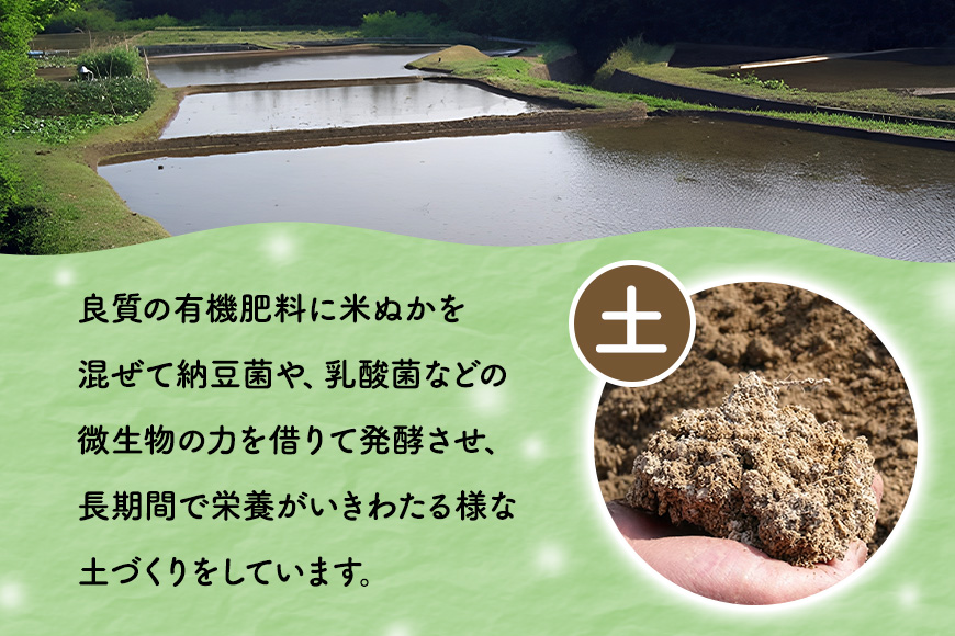 【6ヶ月定期便】令和7年度 殺虫剤・殺菌剤不使用｜こしひかり（5kg） 合計30kg 定期便 コシヒカリ 米 こしひかり 精米 ブランド米 お米 白米 5kg 国産 贈答 ギフト おにぎり 弁当 R7