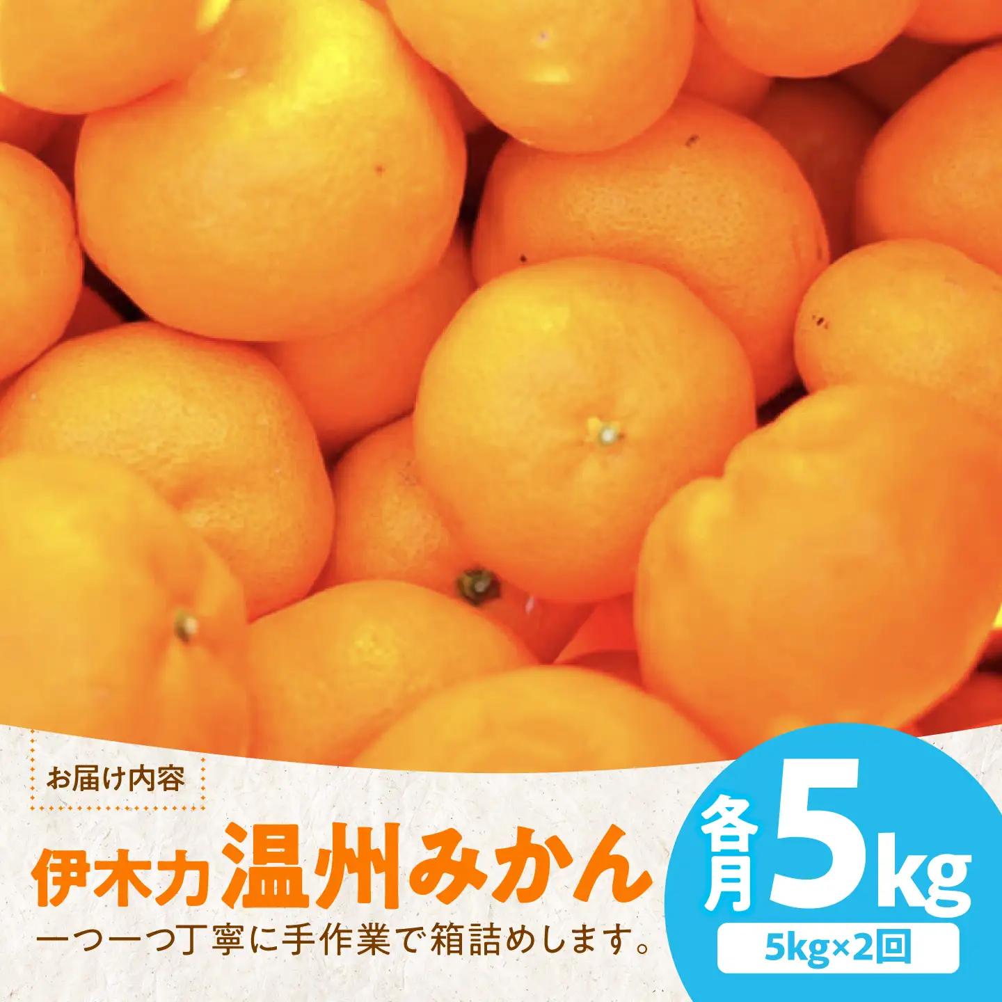 【2回定期便】伊木力温州みかん5kg (ご家庭用、箱入り) / 伊木力 温州みかん みかん ミカン 蜜柑 佐瀬 諫早 多良見 長崎 / 末永果樹園[AHBD010]