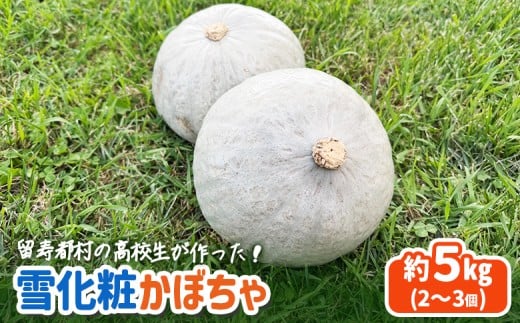 留寿都村の高校生が作った！　雪化粧かぼちゃ　【23002】