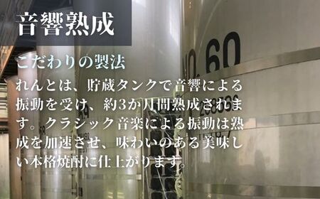 《黒糖焼酎》れんと 五合瓶 箱なし(900ml×48本) 25度 焼酎 お酒 奄美大島 宇検村 鹿児島