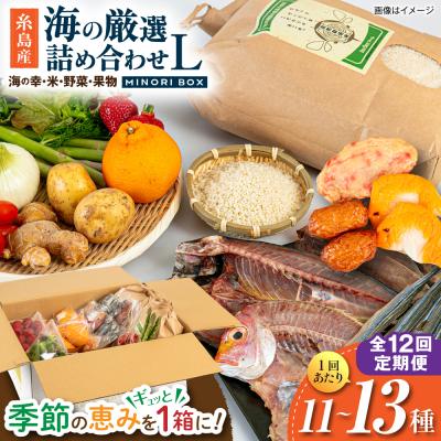 ふるさと納税 糸島市 全12回定期便 糸島産 魚 米 野菜 果物 厳選詰め合わせ MINORI BOX L[AOP030]