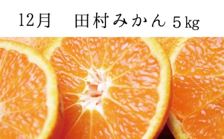 【3か月定期便】【全3回定期便】秋の味覚 果物定期便　柿・みかん　旬のフルーツを毎月お届け♪【tkb130】