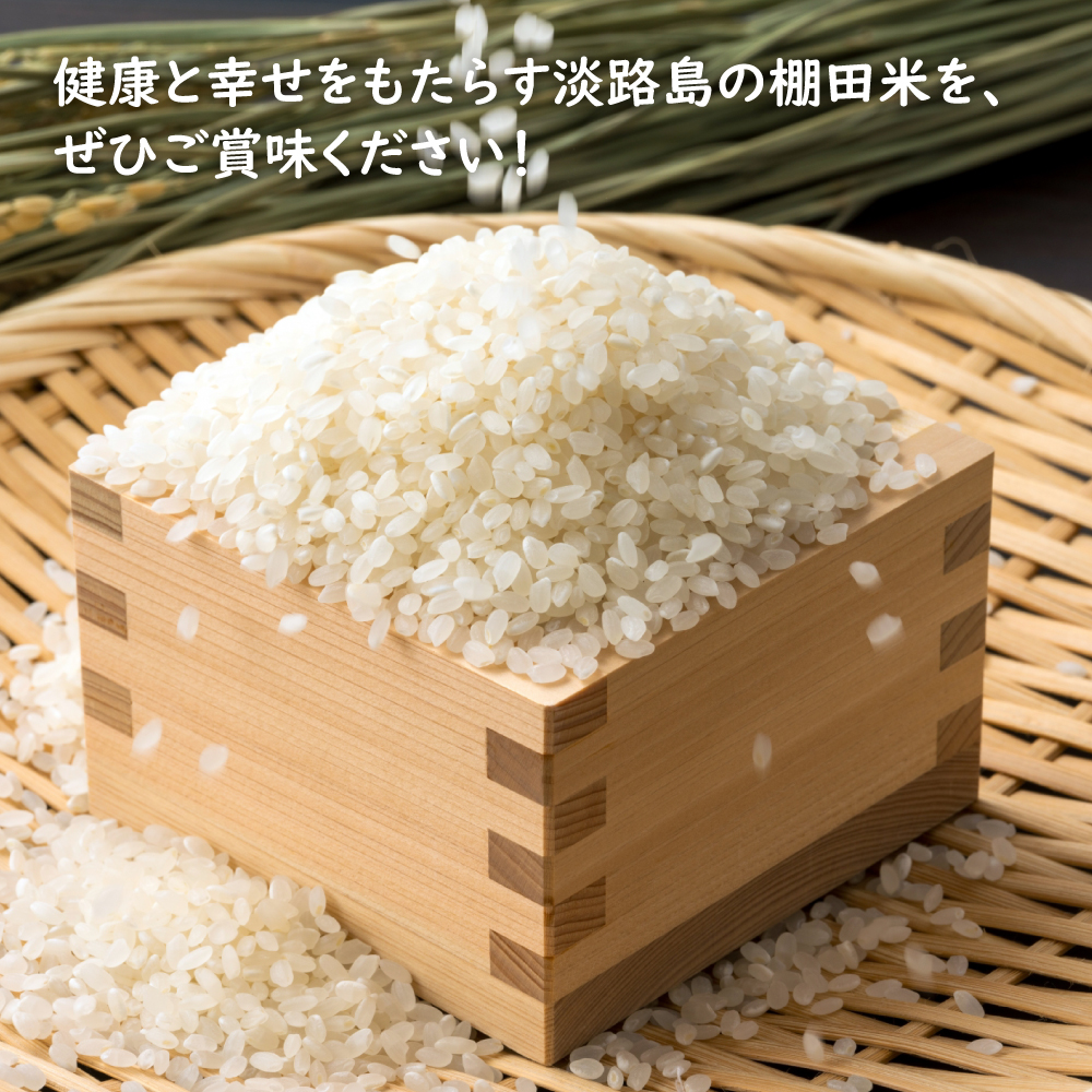 【定期便】健幸農園の棚田米 10kg×3ヵ月セット