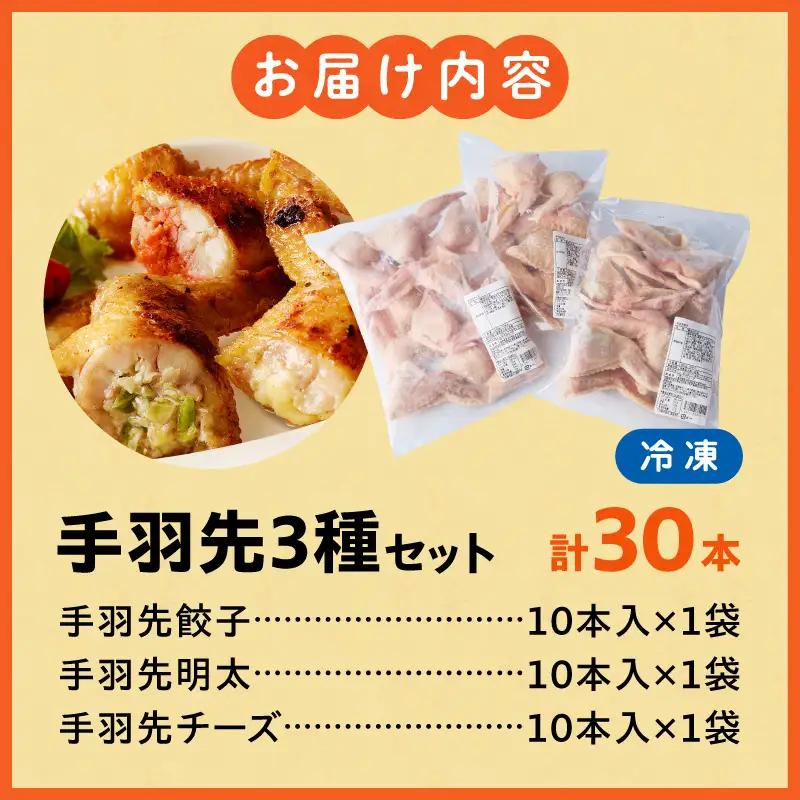 餃子 手羽先 3種セット 餃子