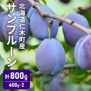 【ふるさと納税】北海道 仁木町産 サンプルーン 800g （400g×2） プルーン 果実 果物 くだもの フルーツ　お届け：2025年10月上旬～10月中旬まで