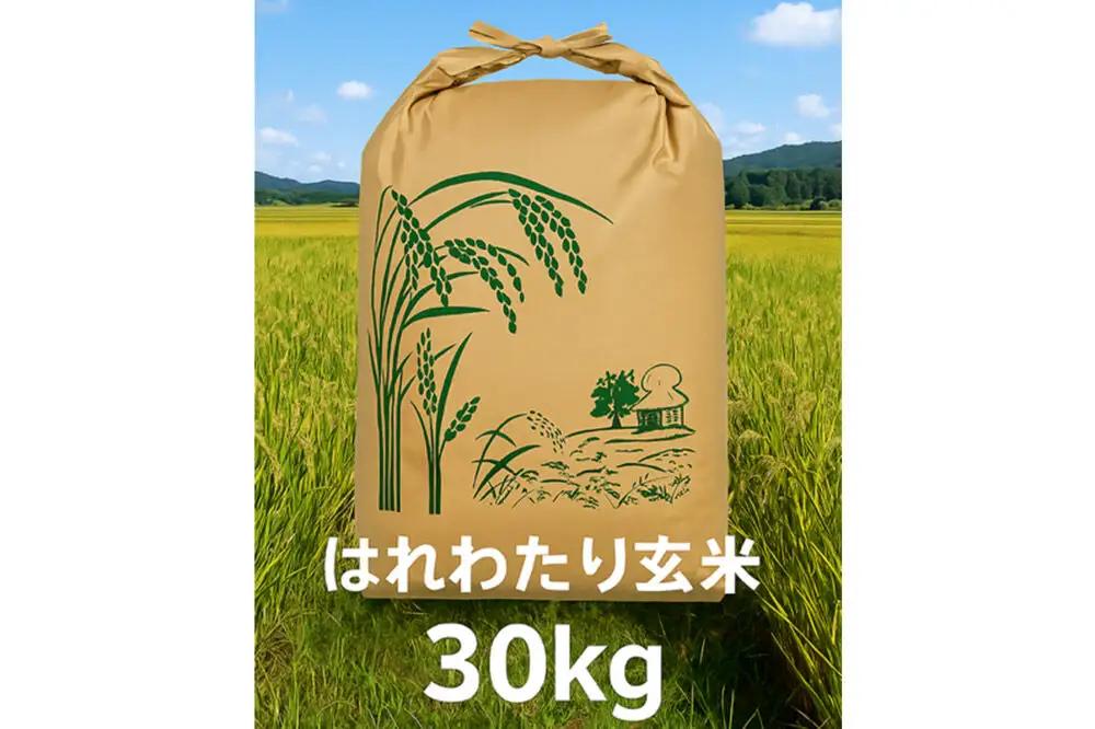 玄米 青森県産はれわたり 30kg×1袋【令和7年産】