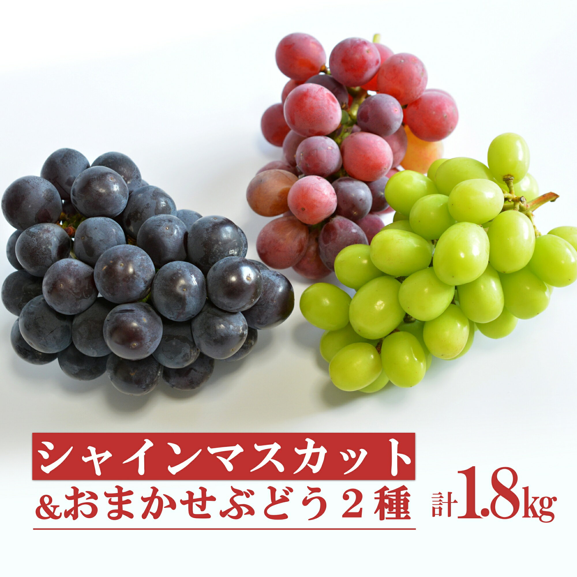 【ふるさと納税】＼アフター保証対象品／ 山形のシャインマスカットとおまかせ2種詰合せ約1.8kg （3種×各1〜2房） 品種 おまかせ 食べ比べ 【2025年9月〜10月発送分先行受付】 令和7年 2025 H133(R7)