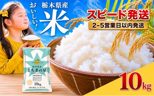 【スピード配送】【令和7年産】【訳あり】 米 白米  10kg  とちぎの星 | 米 お米 コメ 白米  ライス ご飯 ごはん 美味しい 米 とちぎの星  10kg  (5kg×２袋)   銘柄米 ブランド米 令和7年産  新米  国産 国産米 栃木県産 お米 栃木県産米 お取り寄せ  2025年産 米 kome 栃木県 真岡市